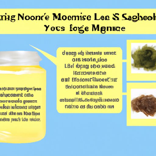 Exploring the Potential Health Benefits of Sea Moss Gel and the Optimal Daily Amount