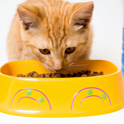 The Right Amount of Wet Food for Kittens: What You Need to Know
