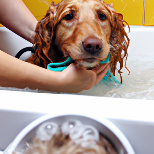 Tips for Bathing Your Dog Safely and Effectively