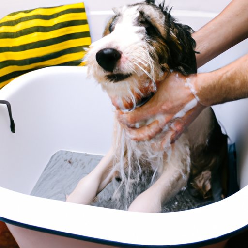 The Benefits of Bathing Your Indoor Dog and How Often You Should Do It