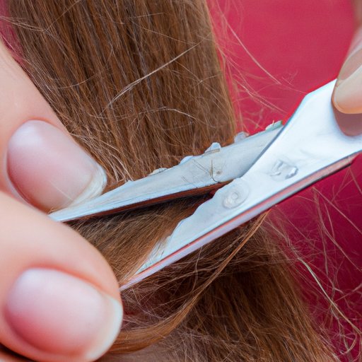 Trim Regularly to Remove Split Ends