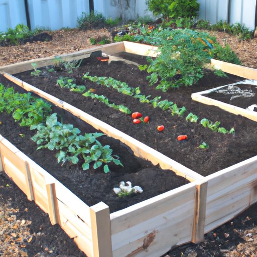The Benefits of Building a Raised Bed Garden and How to Do It