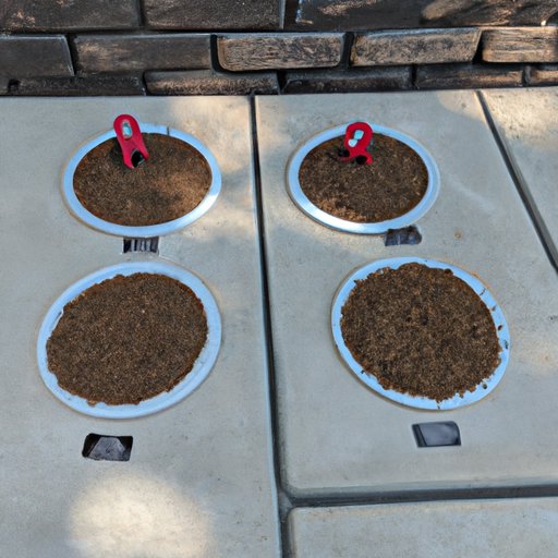 Tips for Installing an Outdoor Dog Potty Area on Concrete