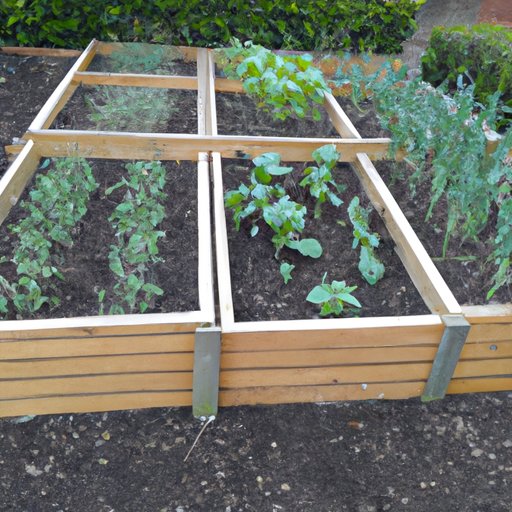 Benefits of Using Raised Beds