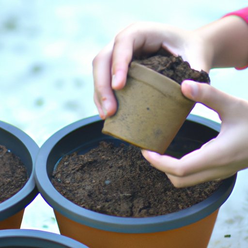 Select the Right Pot and Soil