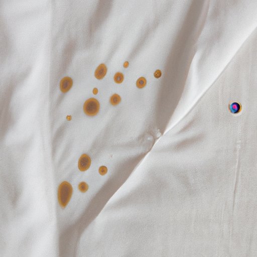 Spot Cleaning Stains on the Comforter