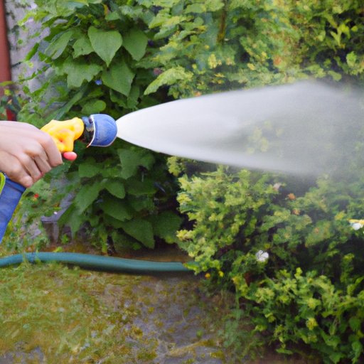 Spraying with a Garden Hose