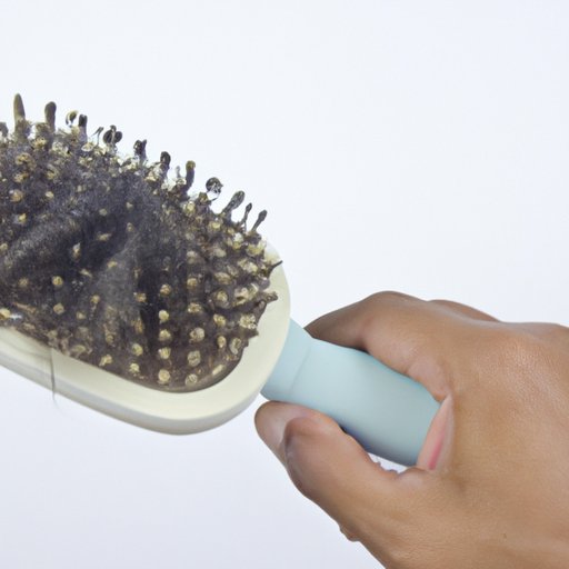 Use a Soft Brush to Remove Hair and Debris