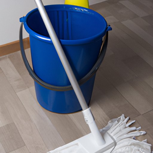 Cleaning with a Mop and Bucket