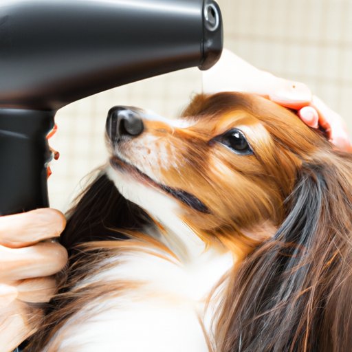 Using a Hair Dryer to Remove Pet Hair