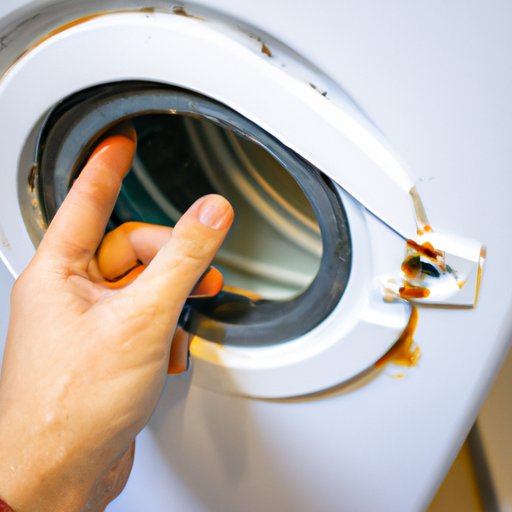 DIY Solutions for Removing Washer Machine Mold