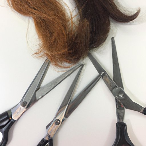 Section Hair for Easier Cutting