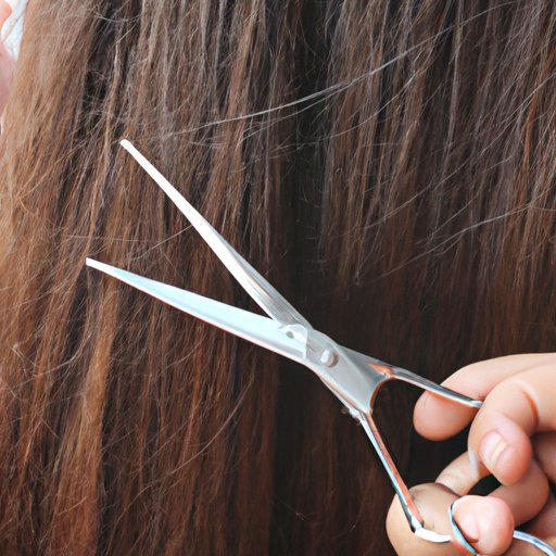 Cutting Longer Hair with Shears