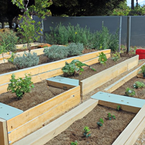 Incorporating Water Conservation Strategies with Raised Beds