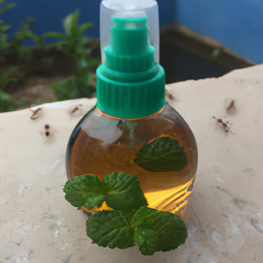 Use Peppermint Oil to Repel Ants