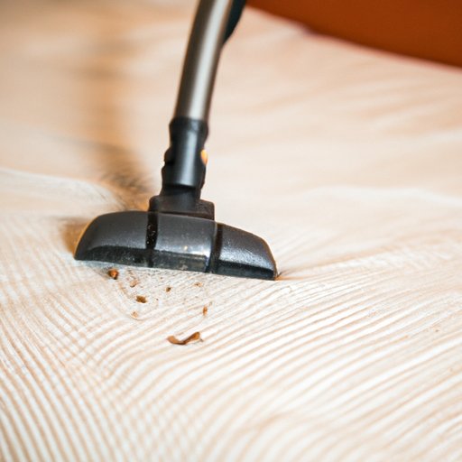 Use a Vacuum to Remove Bed Bugs