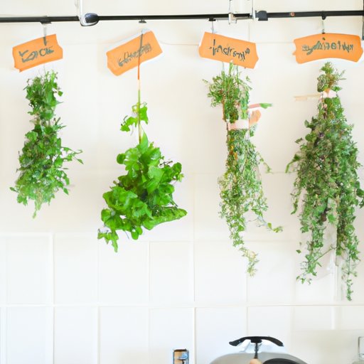 Hang Fresh Herbs in the Kitchen