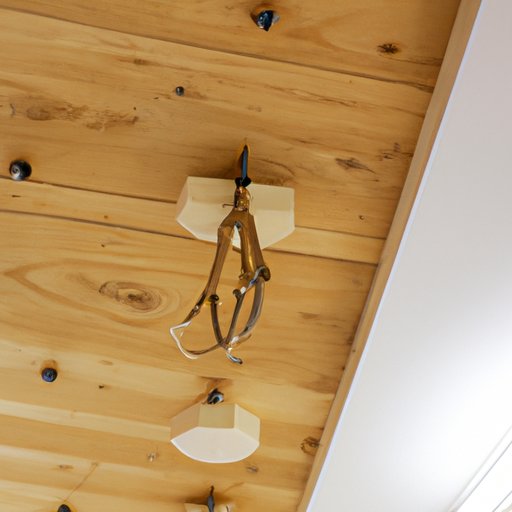 Attach to Ceiling Beams with Plant Hooks