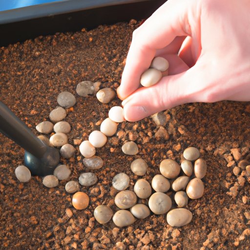Add Wet Clay Pebbles to Your Grow Tent