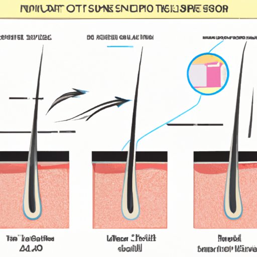 Understand the Hair Follicle Test Process