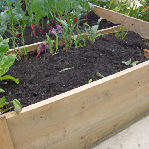 Tips for Filling and Maintaining Raised Beds