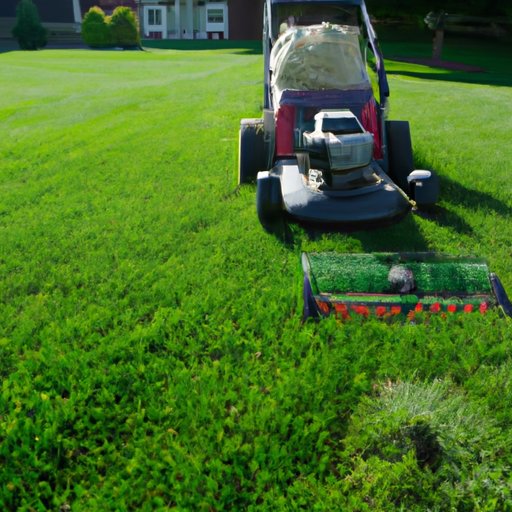Overview of Starting a Lawn Care Business