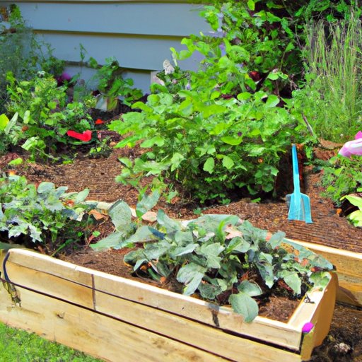  Plant and Care for Your Raised Garden Beds 