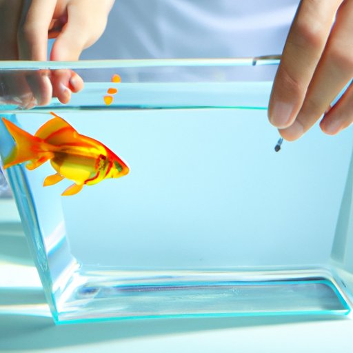 Research the Proper Tank and Water Conditions for a Goldfish