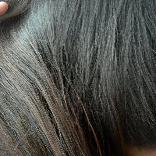 Evaluate the Texture of Your Hair