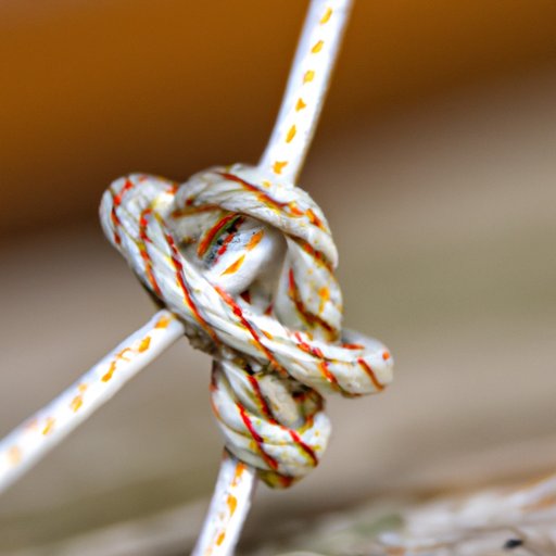 Definition of the Palomar Fishing Knot