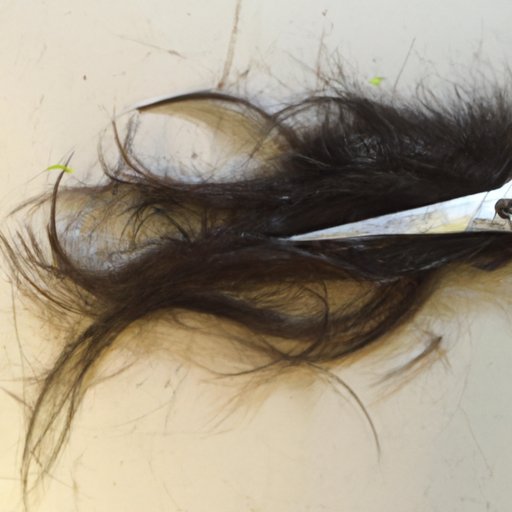Cut Wet or Dry Hair