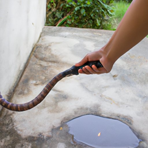 Use a Handheld Manual Drain Snake