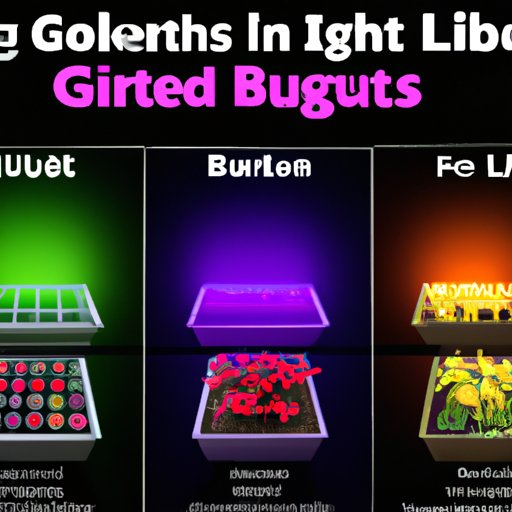 Types of Grow Lights and Which Ones are Best for Your Indoor Plants