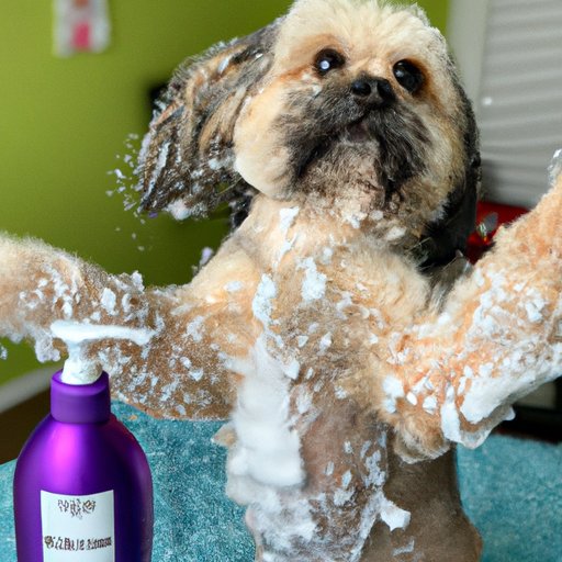 The Benefits of Using Baby Shampoo on Your Pup