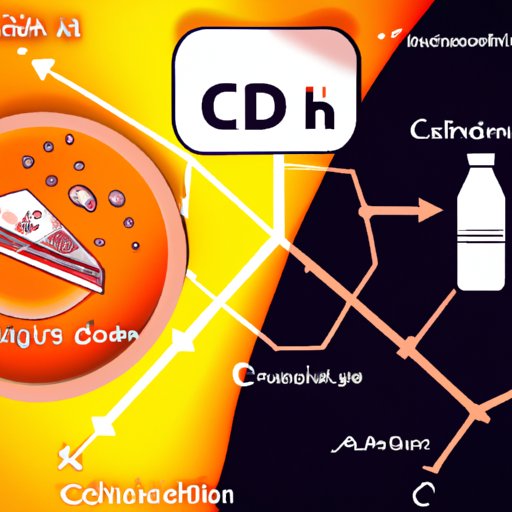 The Interconnectedness of Calcium and Vitamin D