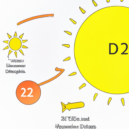 Understanding the Roles of Vitamin D2 and D3 in Human Health