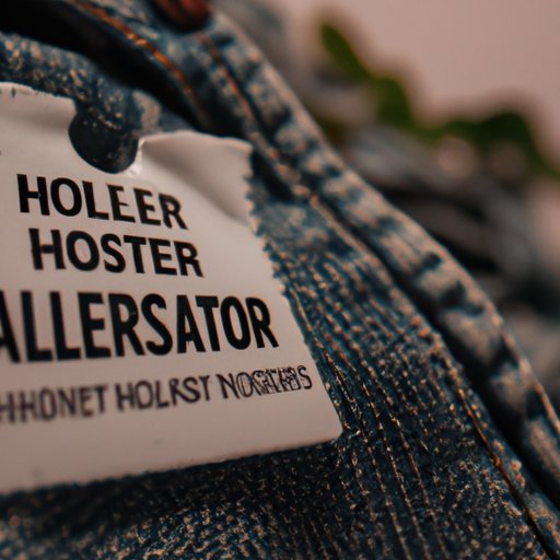 A Closer Look at How Hollister Fast Fashion is Affecting the Environment