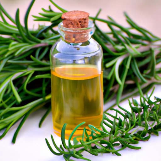 Benefits of Rosemary Oil for Hair Health