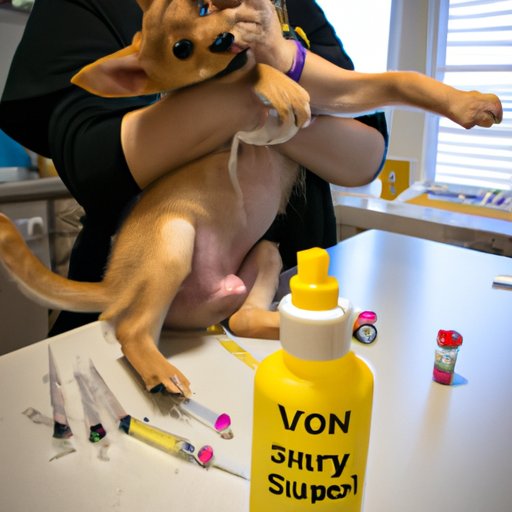 The Importance of Vaccines: How Sunny From the Kitchen Got Her Shots