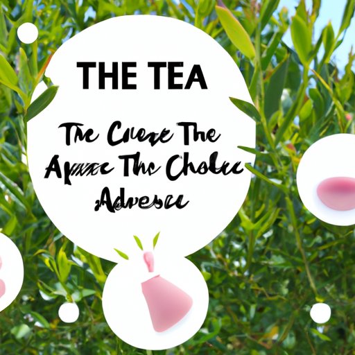 A Comprehensive Guide to Using Tea Tree Oil for Acne