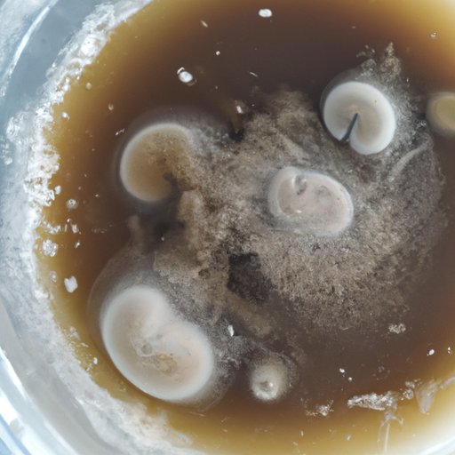 The Effects Freezing Has on Coffee Flavor and Aroma