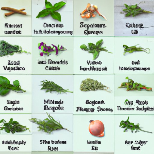 The Top 20 Herbs Every Home Chef Should Have on Hand