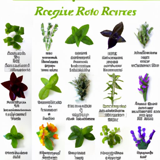 List of the 20 Most Commonly Used Herbs in the Kitchen