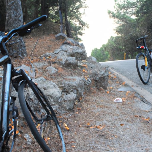 From Mountain to Road: Exploring the Different Types of Bikes Used by BikeDashers
