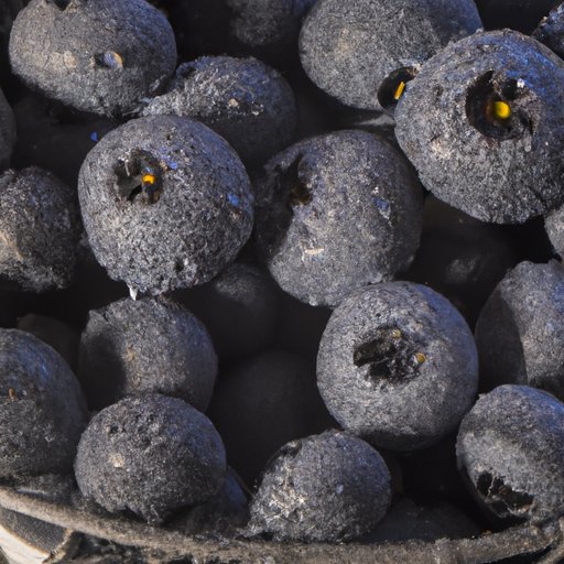 Cancer Prevention: How Blueberries May Help Reduce Cancer Risk