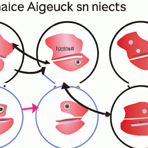 Analyzing the Relationship Between Genetics and Acne