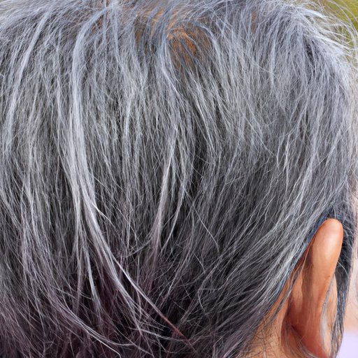 Investigating the Role of Pollution in Graying Hair