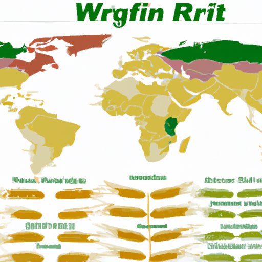 An Overview of the Countries that Produce the Most Wheat