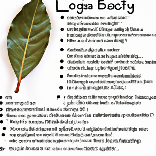 Summary of Benefits of Cooking with Bay Leaves