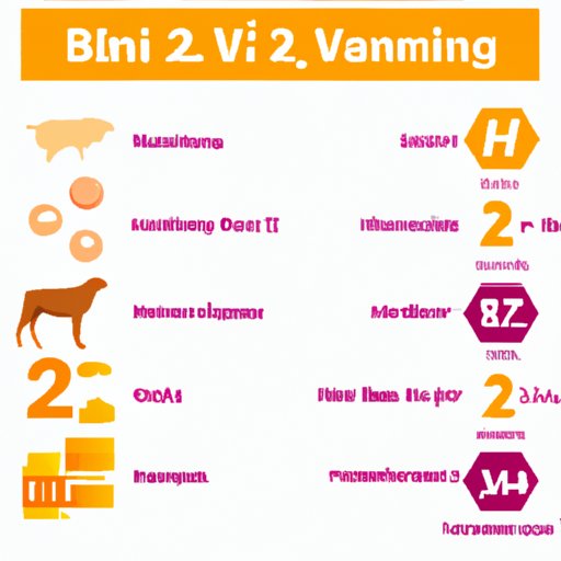 A Comparison of Animal and Plant Sources of Vitamin B12